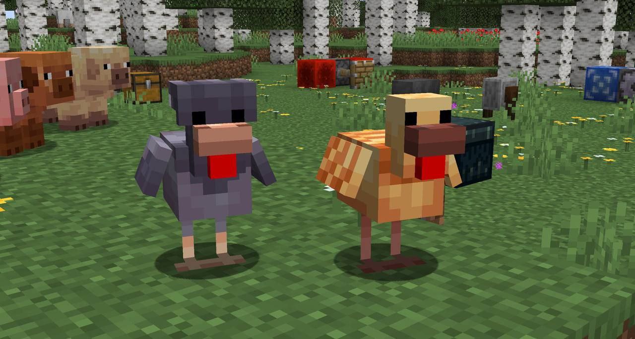 Variantes de frango para Minecraft PE